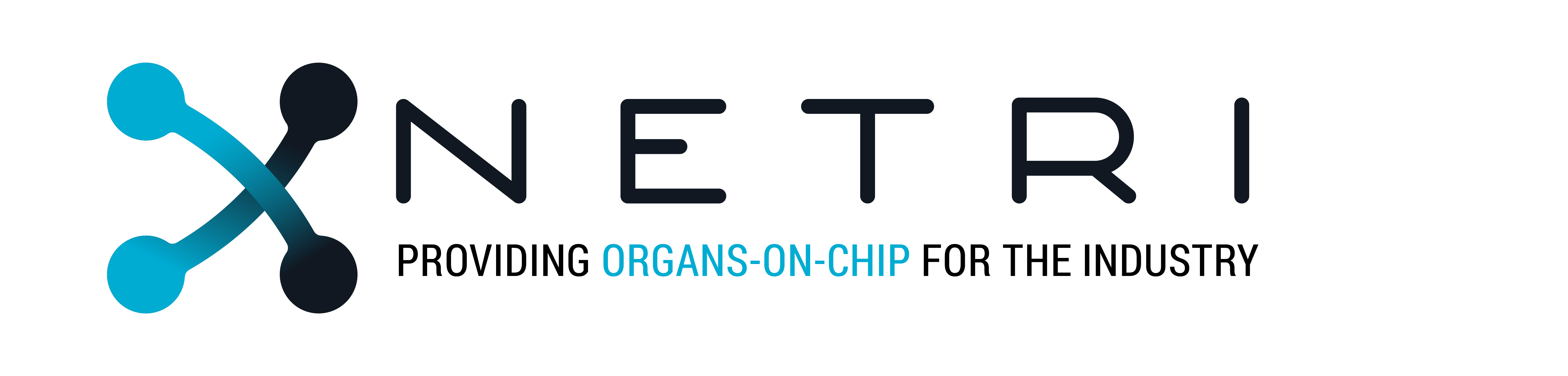 Winner small image - NETRI