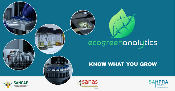 Winner small image - Ecogreen Analytics