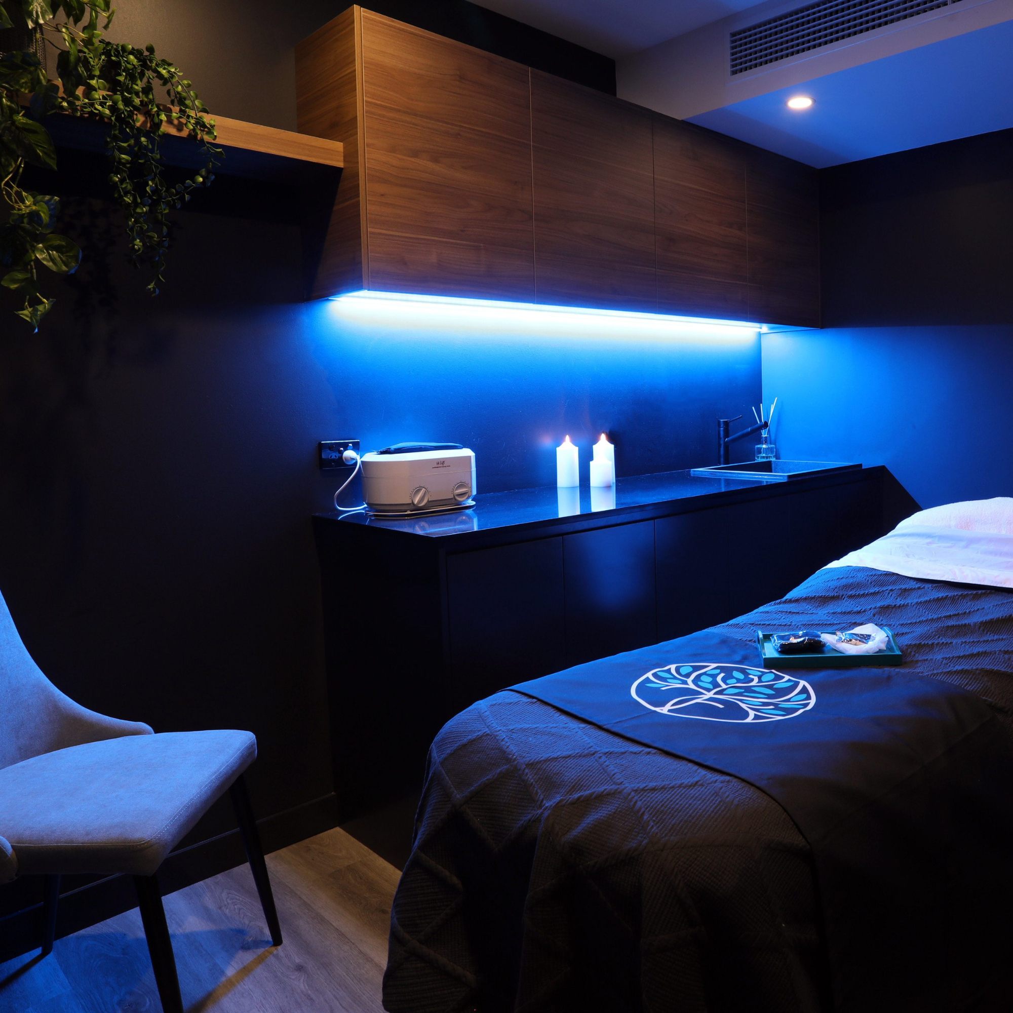Winner small image - Temple Skincare & Spa