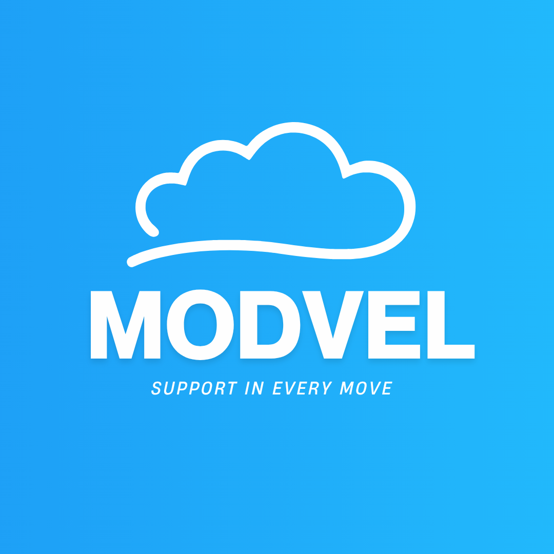 Winner small image - Modvel