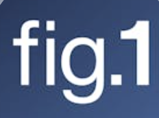 Winner small image - Figure 1 Inc