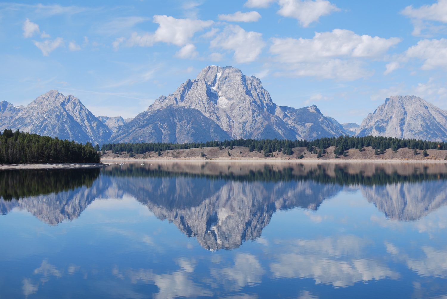 Winner small image - Mente A Mente