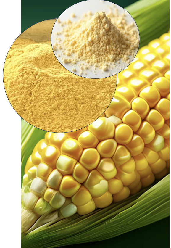 Winner small image - BioZein Technology Corp Ltd