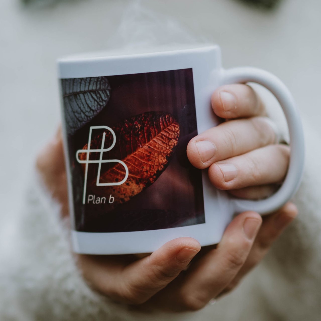 Winner small image - Plan B