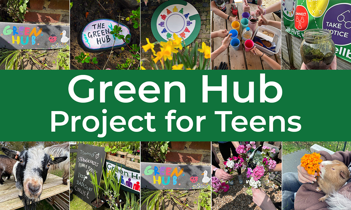 Winner small image - Green Hub Project for Teens